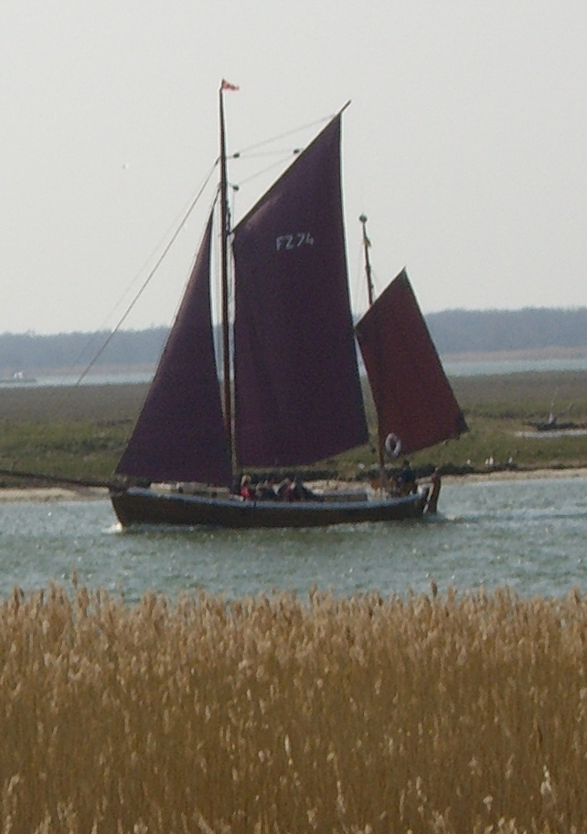 Segel auf den Bodden