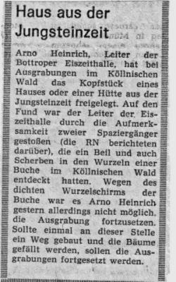 Artikel_Steinzeithaus.webp